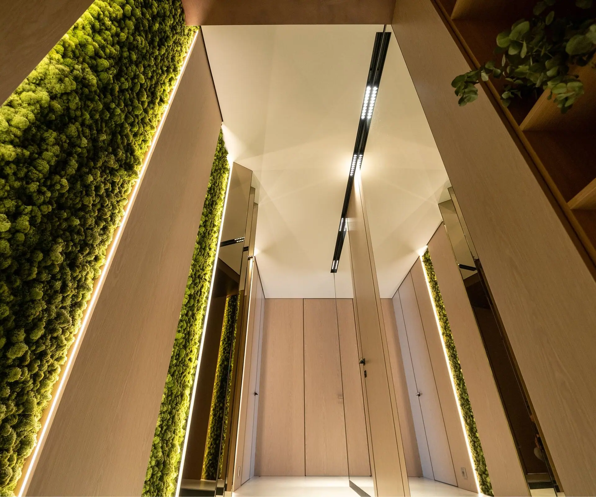 JM textile stretch ceiling with LED lighting and a moss wall – architectural project